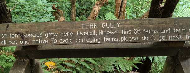 ferngully.png
