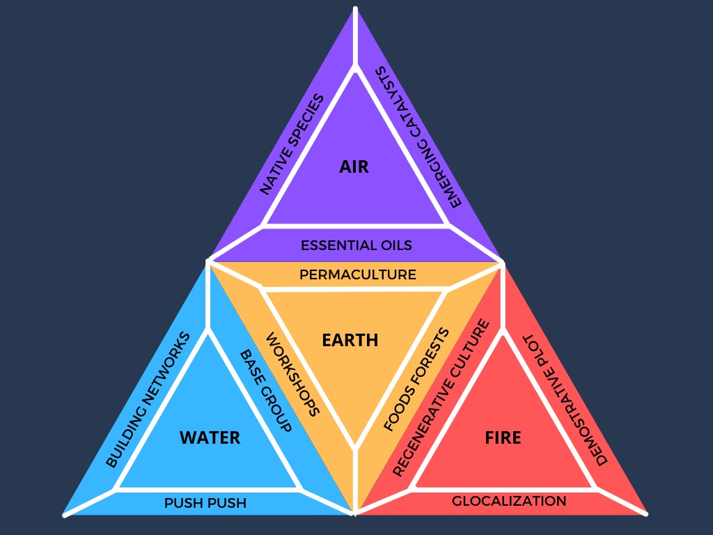 Arbolaria Tropical Relationships
