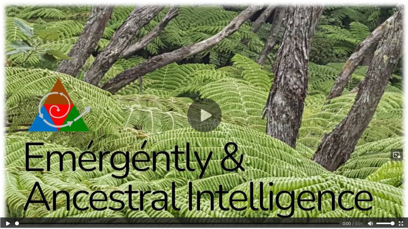 EmergentlyAI